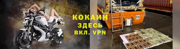 твердый Касимов
