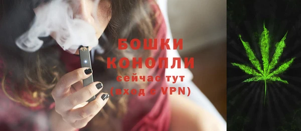 твердый Касимов