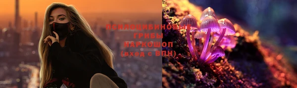 твердый Касимов