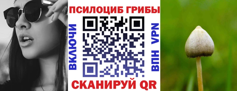 Купить закладки  Удомля  Псилоцибиновые грибы Psilocybine cubensis 
