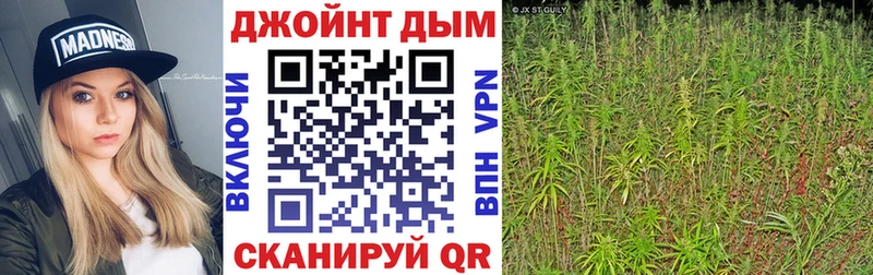 Каннабис OG Kush  Купить  Удомля 
